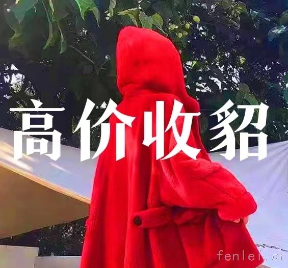 盐城回收貂皮#盐城市貂皮回收#上门收购皮草紫貂
